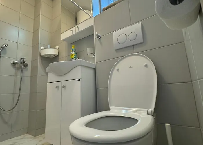 Lägenhet Lela Vrnjačka Banja